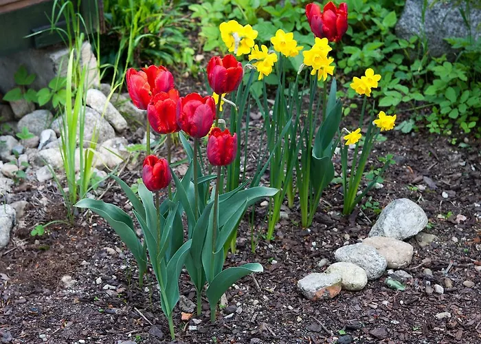 Appartamento Oremusowka Zakopane